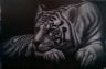 WP_20130428_012.jpg